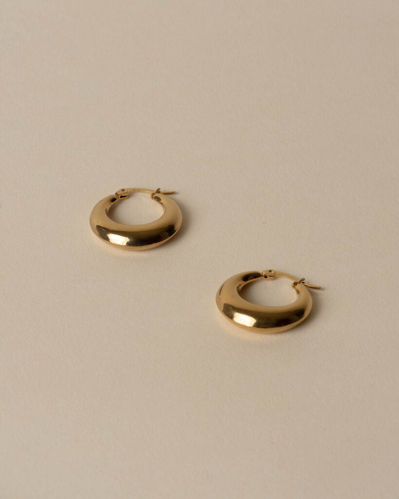 Voluptuous Hoop Earrings