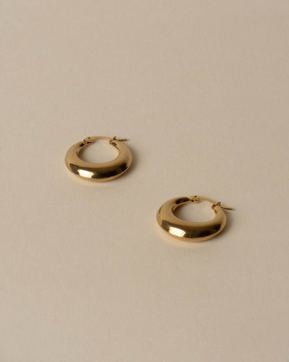 Voluptuous Hoop Earrings