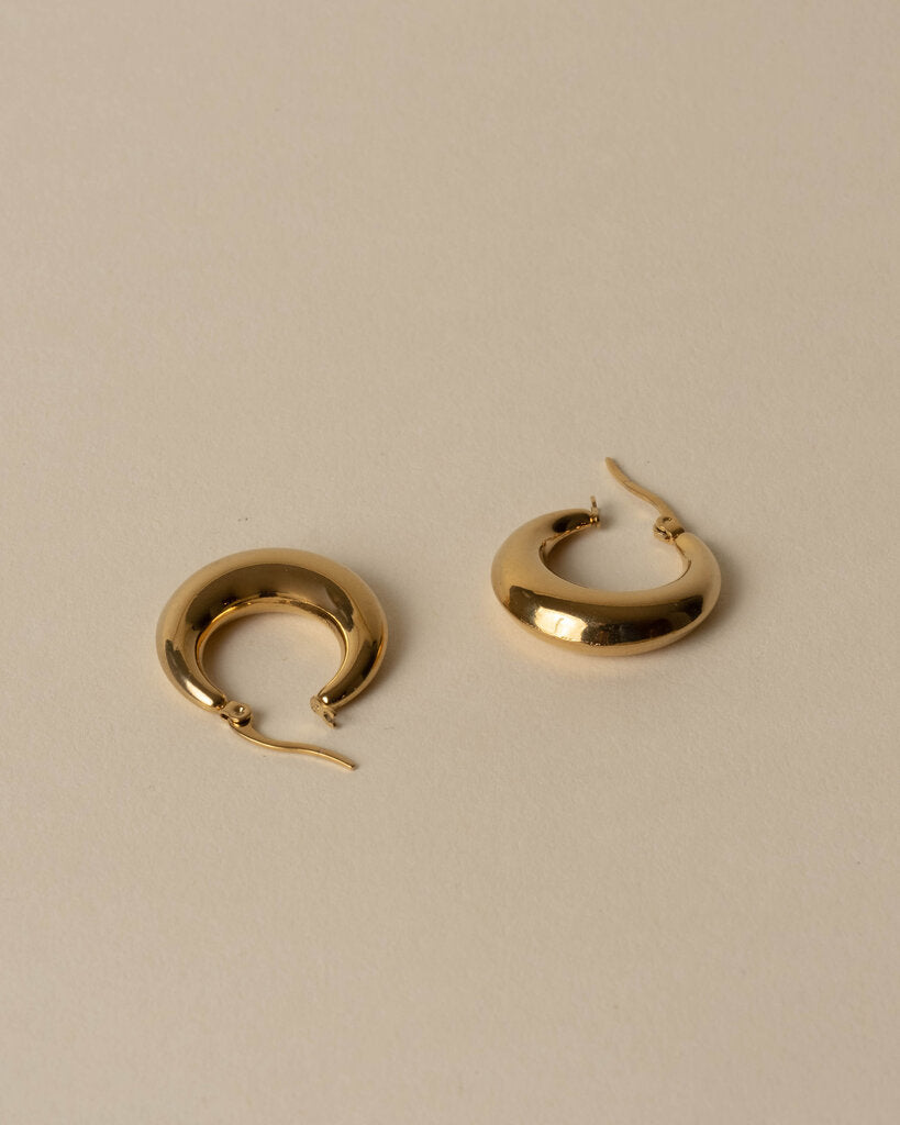 Voluptuous Hoop Earrings