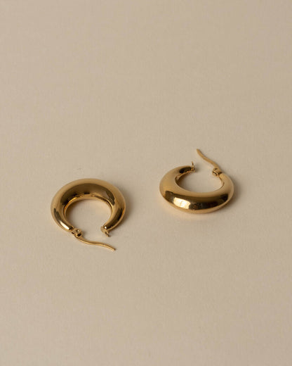 Voluptuous Hoop Earrings