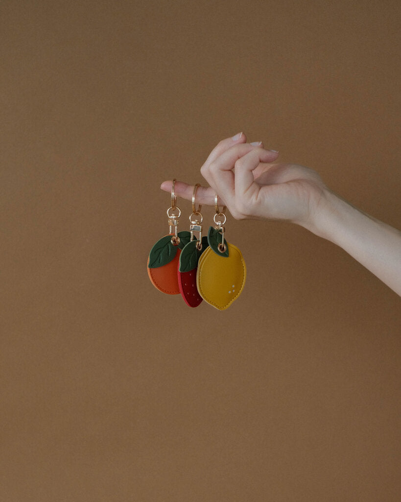 Air Tag Keychains