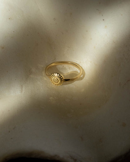 Hanune Phoenician Shield Ring 14K Solid Gold