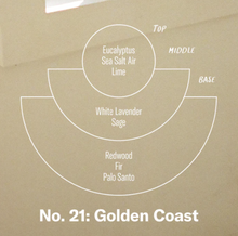 P.F. Candle Co: Golden Coast Candle - 3.5oz